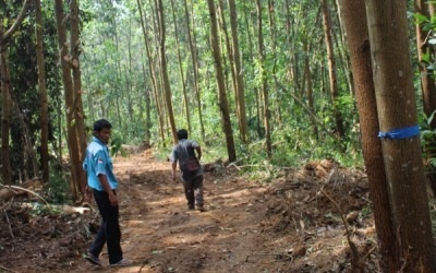 Warga Minta Tindak Perambah Kawasan BBSI Sei Ekok