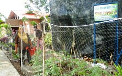 Manfaatan Pekarangan, BKP Terapkan Konsep KRPL