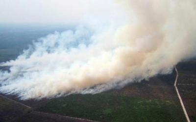 Hampir 2 Ribu Hektar Lahan di Riau Terbakar 