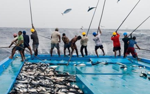 Australia Warning Nelayan RI Tak Curi Ikan: Tak Patuh Ditahan