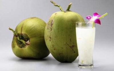 Air Kelapa Hijau Untuk Buka Puasa Baik Bagi Kesehatan