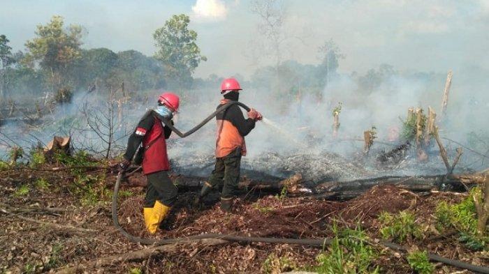 DPRD Riau Minta Semua Pihak Berperan Aktif Atasi Karhutla