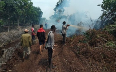 Puluhan Hektar Lahan di Pulau Rupat Terbakar