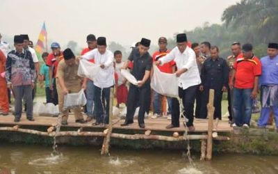 Bupati Rohil: Angka Kemiskinan Sudah Jauh Berkurang