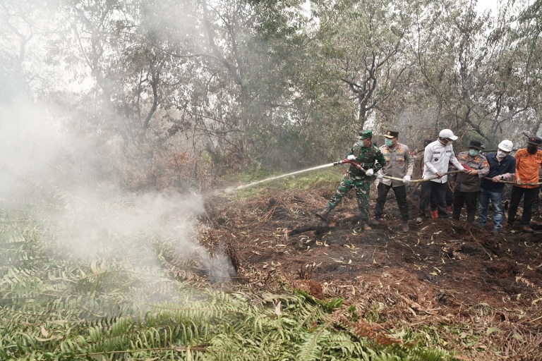 Kapolda Riau dan Pangdam Tuanku Tambusai Turun Padamkan Api di Pelalawan