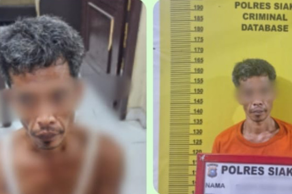 Bandar Shabu Ditangkap di Perkebunan Sawit di Dayun Siak