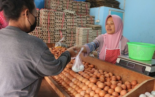 Kemendag Didesak Tangani Harga Telur Ayam Melambung Tinggi