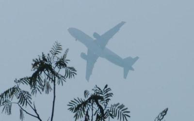 Bandara Pekanbaru Berkabut, Penerbangan Terganggu
