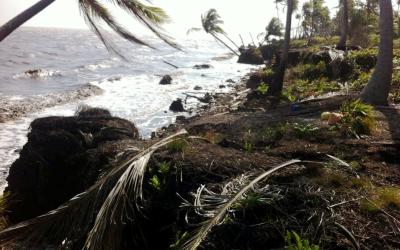 Tim Menko Kemaritiman Bakal ke Lokasi Abrasi Bengkalis 