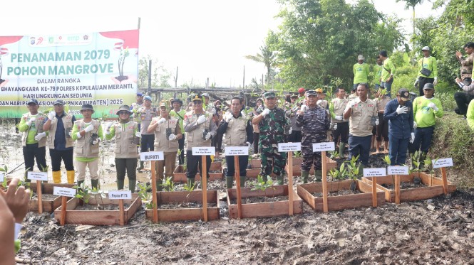 Ribuan Mangrove Ditanam di Desa Mekong untuk Cegah Abrasi