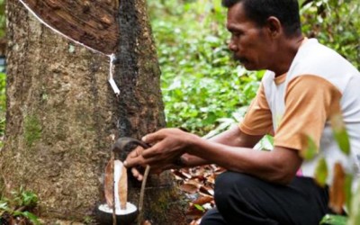 Karet Masih Miliki Potensi Lain Hingga Peredam Gempa