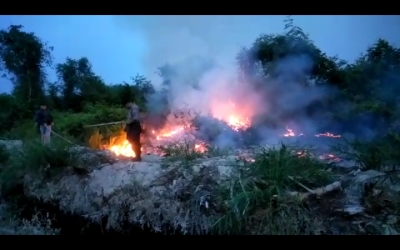 10 Hektar Lahan di Sei Kepayang Asahan Ludes Terbakar