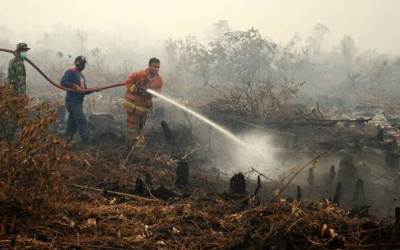 Tim Satgas Rohul Berhasil Padamkan 340 Hektar Karlahut