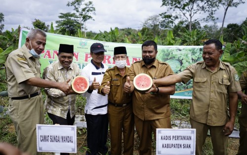 Kelompok Wanita Tani di Siak Panen Perdana Semangka