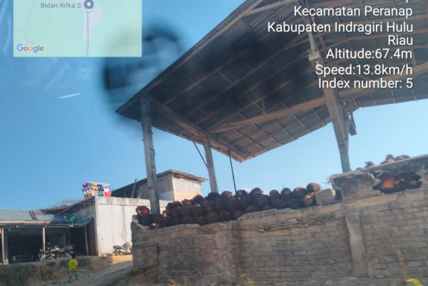 Koperasi KCK dan BIM Pegang DO, Petani Keluhkan Nilai Jual TBS Anjlok