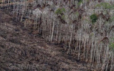 SP3 Pembakar Lahan, Walhi Riau Praperadilkan Polda Riau