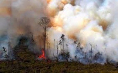 Antisipasi Karhutla,  TNI Terjunkan 3 SSK di Bengkalis