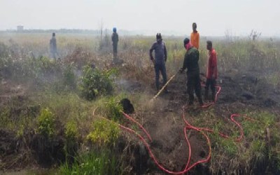 Lahan Gambut Sungai Daun Rohil Terbakar