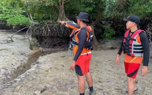 Buruh di Meranti Hilang Diterkam Buaya Saat Rakit Tual Sagu