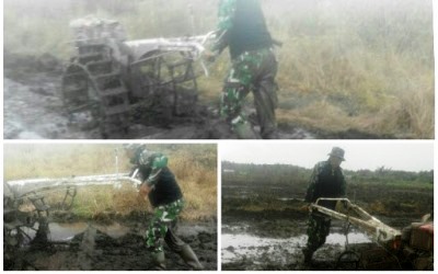 TNI Turun ke Sawah Bantu Petani Kedabu Rapat