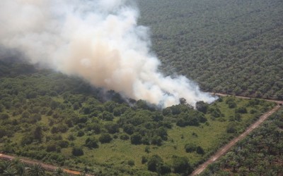 Sejak Januari 3.650 Ha Lahan dan Hutan Terbakar di Riau