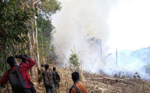 Taman Nasional Bukit Tigapuluh Riau Terbakar