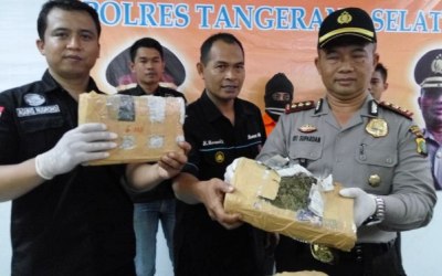 67 Ball Ganja Asal Serambi Mekah Berhasil Diamankan