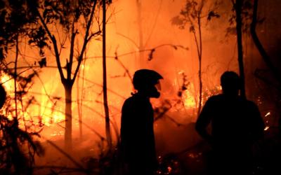 Diduga Lahan Kavlingan Milik Kalakhar BPBD Rohul Terbakar