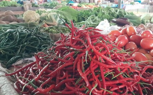 Harga Cabai di Pekanbaru Mulai Berangsur Turun