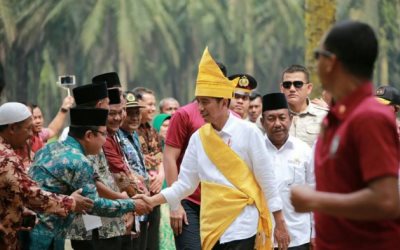 Ini Agenda Presiden Jokowi Berkunjung ke Riau