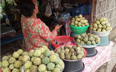 Manfaat Srikaya Mulai Kecantik Hingga Anti Kanker