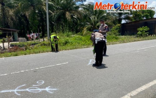 2 Sepeda Motor Adu Kambing di Rohul, 1 Orang Meninggal Dunia