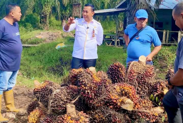 Ketua Komisi ll DPRD Siak Sujarwo Tampung Keluhan Anggota Koperasi BU