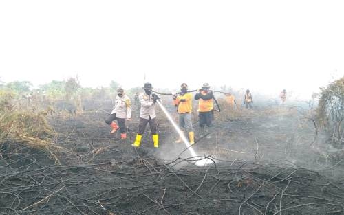 4 Hektar Lahan Milik Warga di Rengat Terbakar