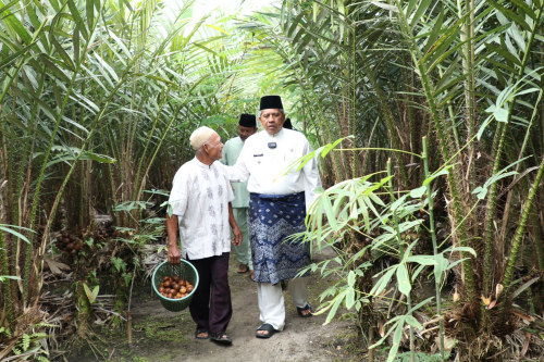 Mukadi Tak Nyangka Kebun Salaknya di Kunjungi Bupati Siak