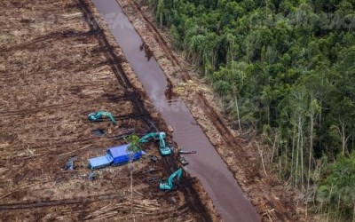 Cabut Izin Lahan Gambut, Tanah Kembalikan ke Rakyat