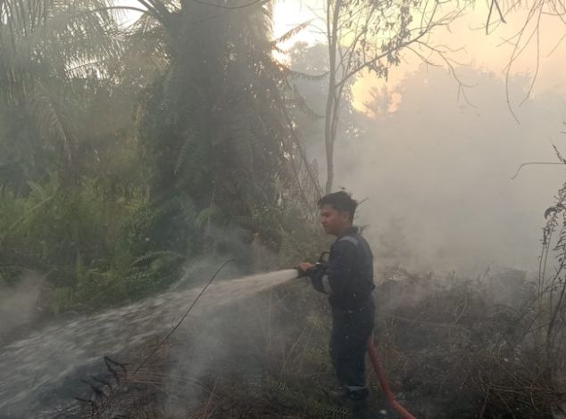 Cuaca Panas, 1 Hektare Lahan di Kota Pekanbaru Terbakar