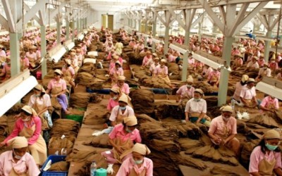 Serbuan Tembakau Impor Menghancurkan Petani