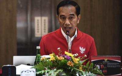 Jokowi Tegur Instansi Ikut Tanggung Jawab Karhutla