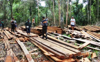 Tim Gabungan Sita Kayu Ilog Olahan di Hutan Kerumutan