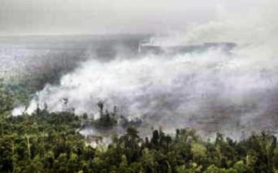 Syamsuar Cemaskan Karhutla Kembali Hantam Riau