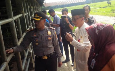 Jelang Lebaran, Stok Daging Segar Pekanbaru Mencukupi