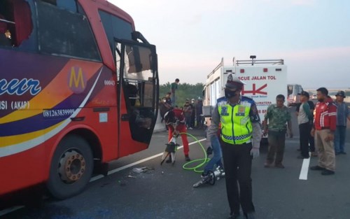 Bus Makmur Vs Rafi di Tol Permai, Belasan Terluka 1 Tewas