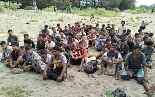 184 Orang Pengungsi Rohingya Terdampar di Aceh Besar, 40 Anak-anak