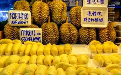 Thailand Berencana Meluncurkan Durian ke Ruang Angkasa