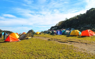 Viral! Pendaki Bugil di Gunung Gede Pangrango?