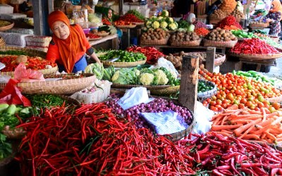 Harga Cabai Melambung, Harga Karet Anjlok