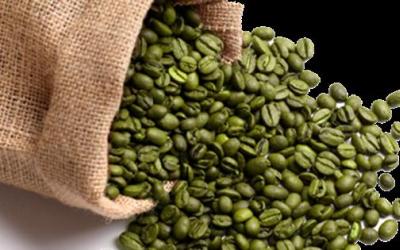 Ini Manfaat Kopi Hijau yang Bikin Langsing dan Sehat