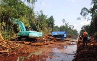 Warga Riau Tunggu Komitmen Tim BRG Usut PT RAPP