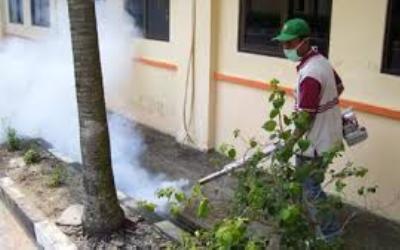 Setelah Dikepret Pj Bupati, Diskes Dua Kali Lakukan Fogging 